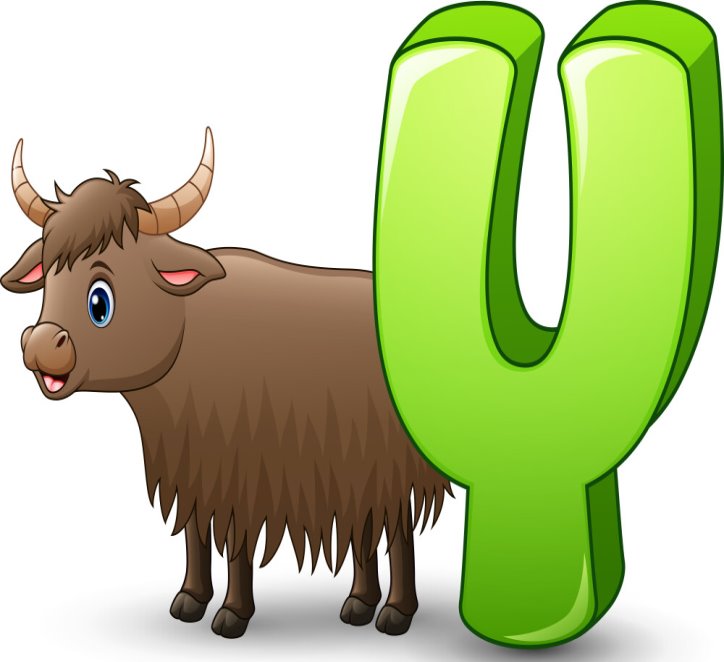 Letter y is for yak cartoon alphabet Royalty Free Vector